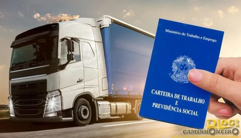 Empregos no setor de transportes tem saldo positivo de quase 35 mil vagas até maio